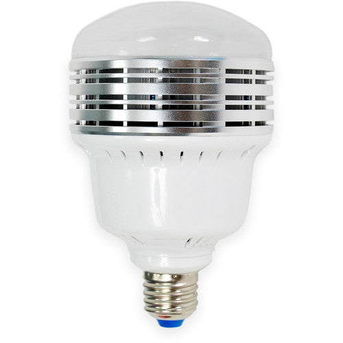 Savage LED 2-Light Kit Bi-Color