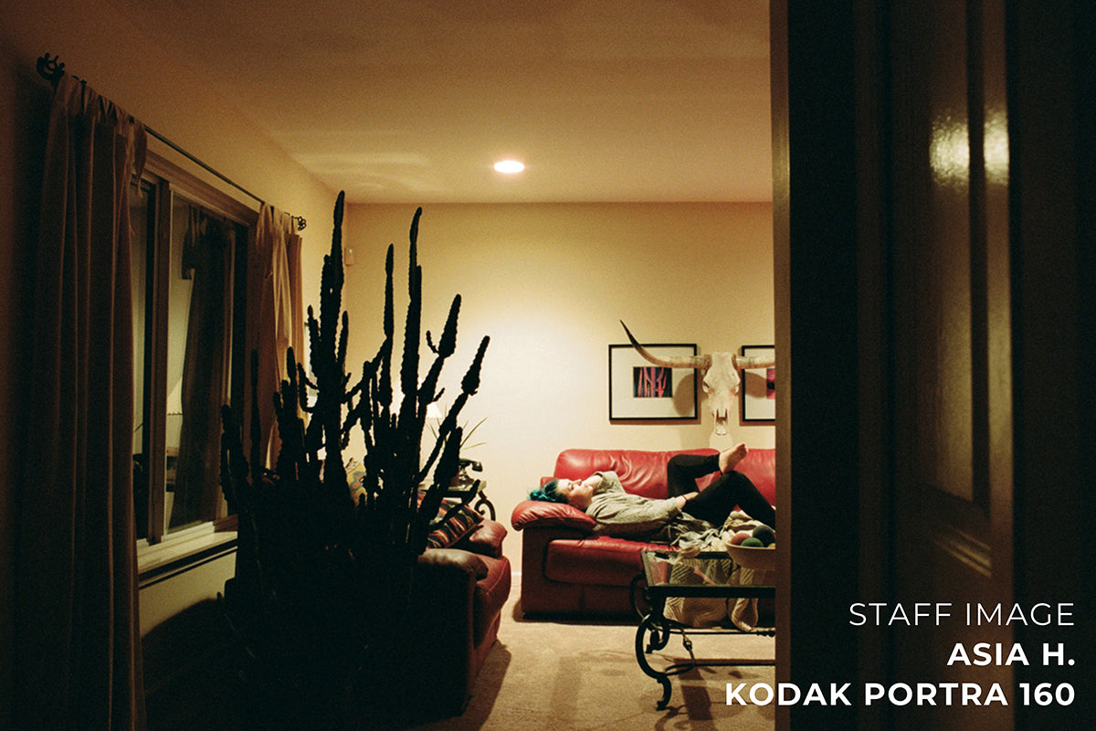 Kodak PORTRA 160 Color 120 Film - Box (5 Rolls)