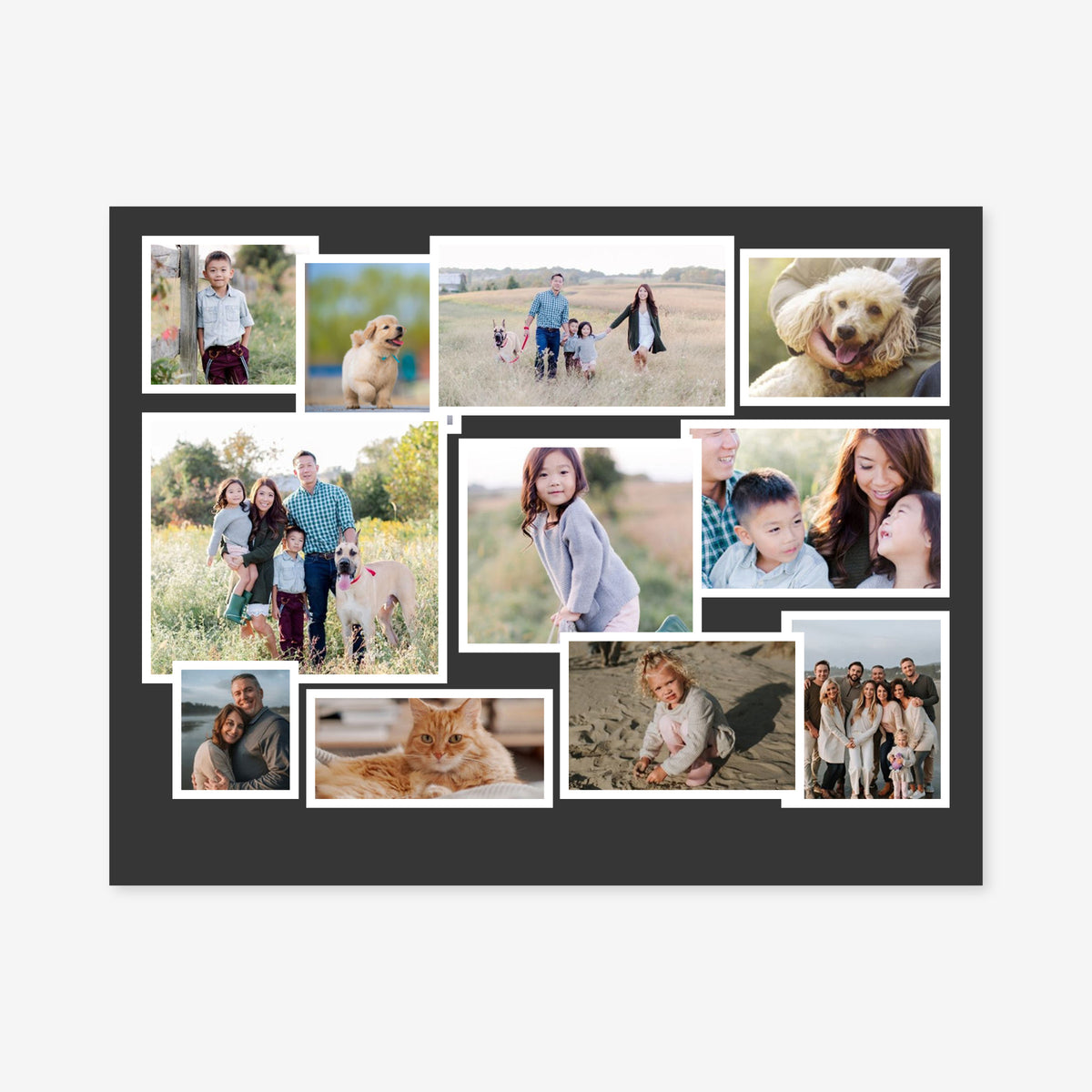 Puzzle 252 Piece - 10.5” x 13.5” Horizontal (Collage with Solid Background)