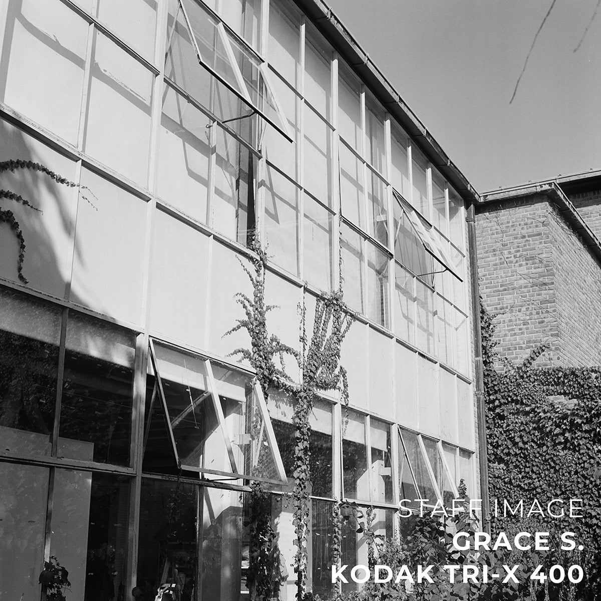 Kodak TRI-X 400 Black & White 35mm 24EXP - Single Roll