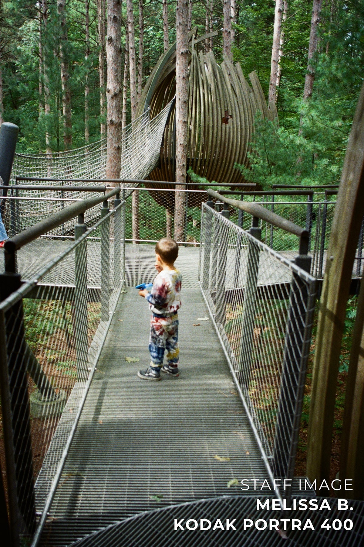 Kodak PORTRA 400 Color 35mm 36EXP - Single Roll