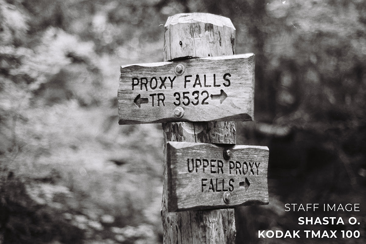Kodak T-MAX 100 Black & White 120 Film - Single Roll