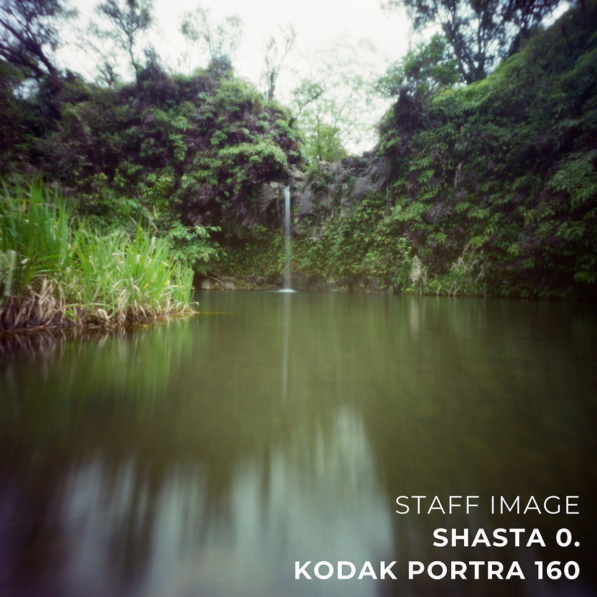Kodak PORTRA 160 Color 35mm 36EXP - Box (5 Rolls)