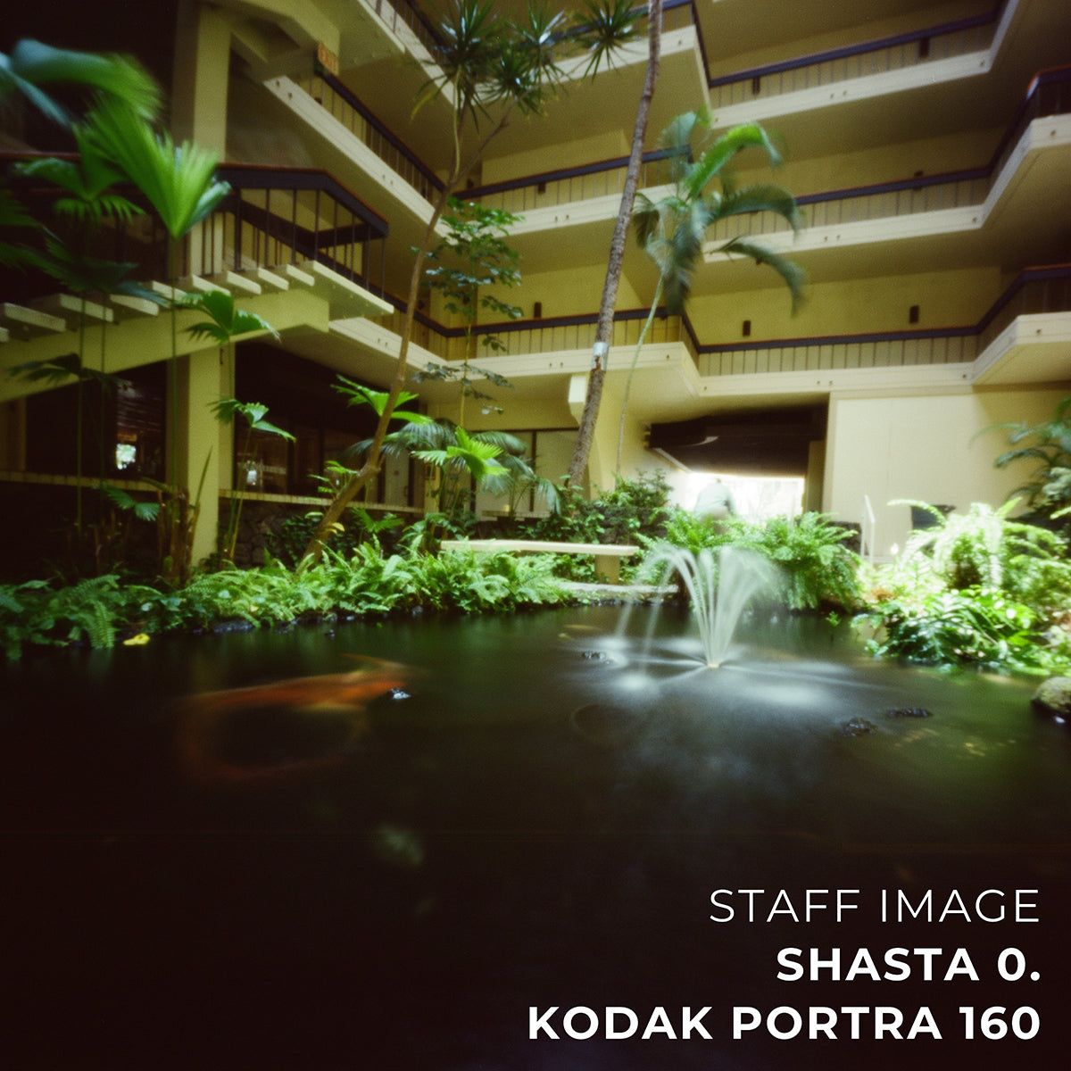 Kodak PORTRA 160 Color 35mm 36EXP - Box (5 Rolls)