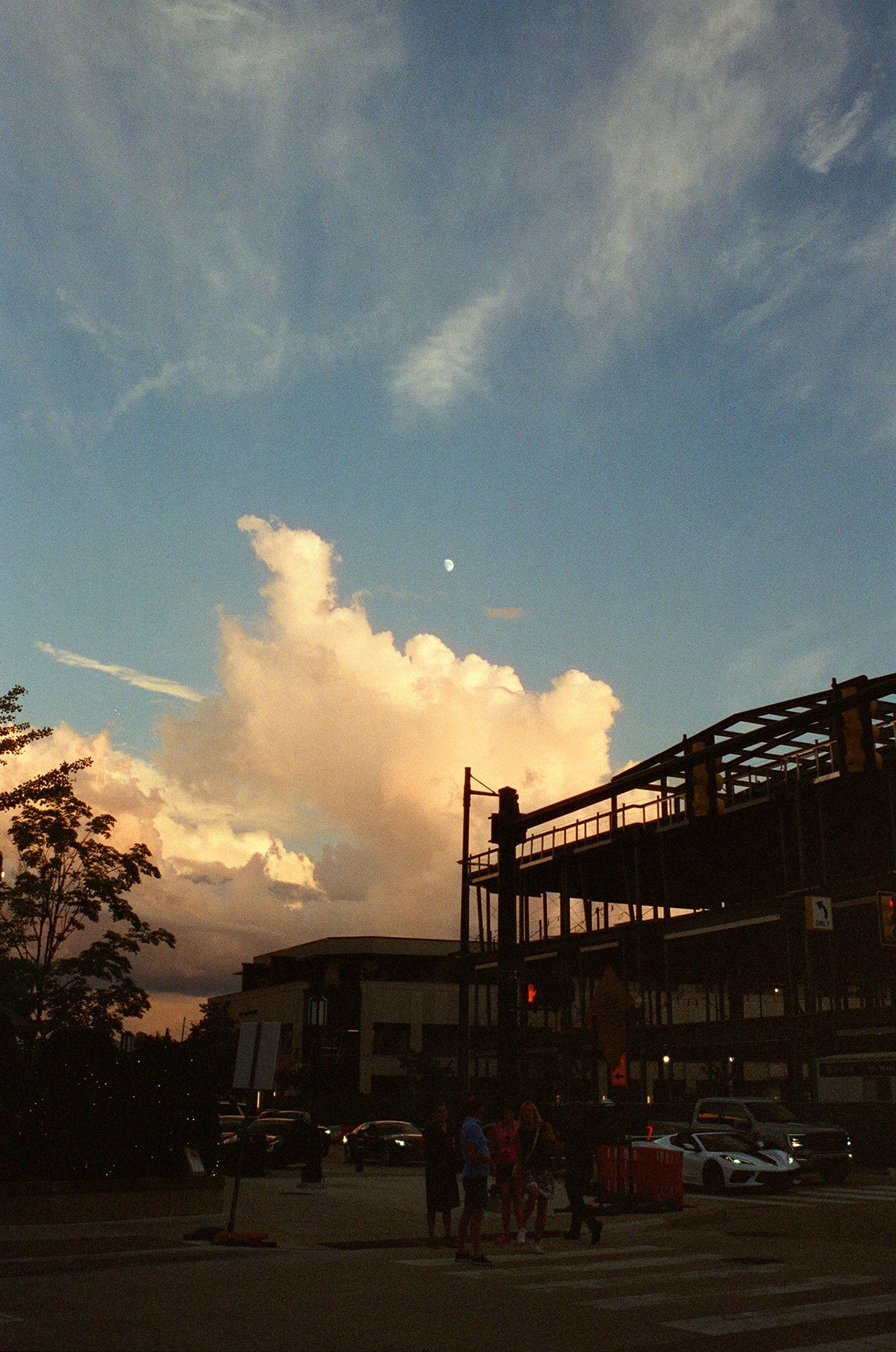 CineStill 400Dynamic C-41 Color Negative Film (120 Roll Film)
