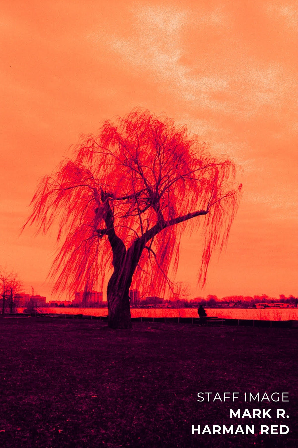 HARMAN technology Red 125 Redscale Color Negative Film (35mm Roll Film, 36 Exposures)