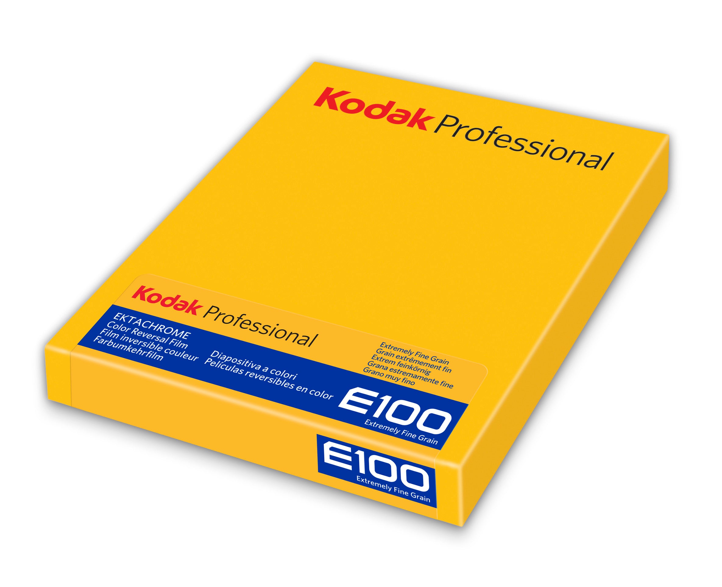 Kodak Ektachrome E100 Color Transparency Film (4 x 5", 10 Sheets)