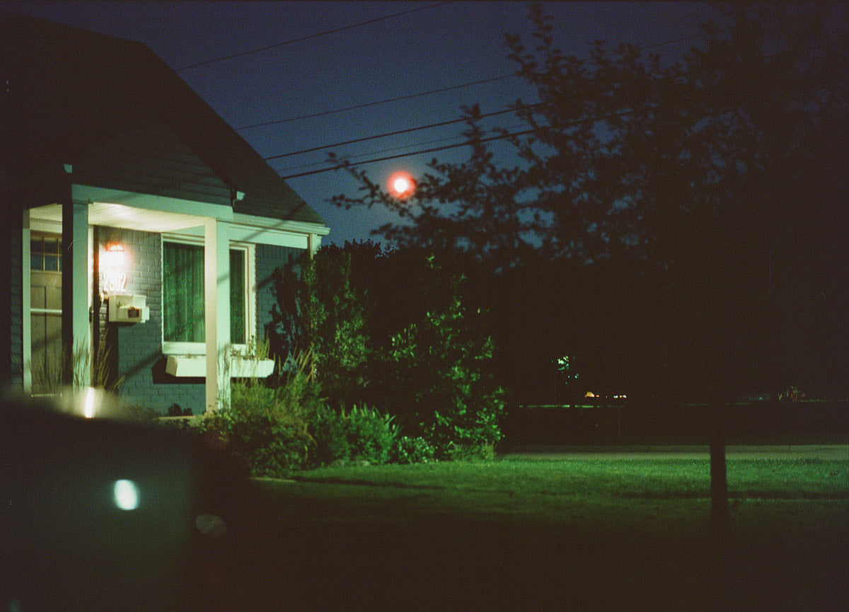 Cinestill 800Tungsten Xpro C-41 Color Negative Film (120 Roll Film)