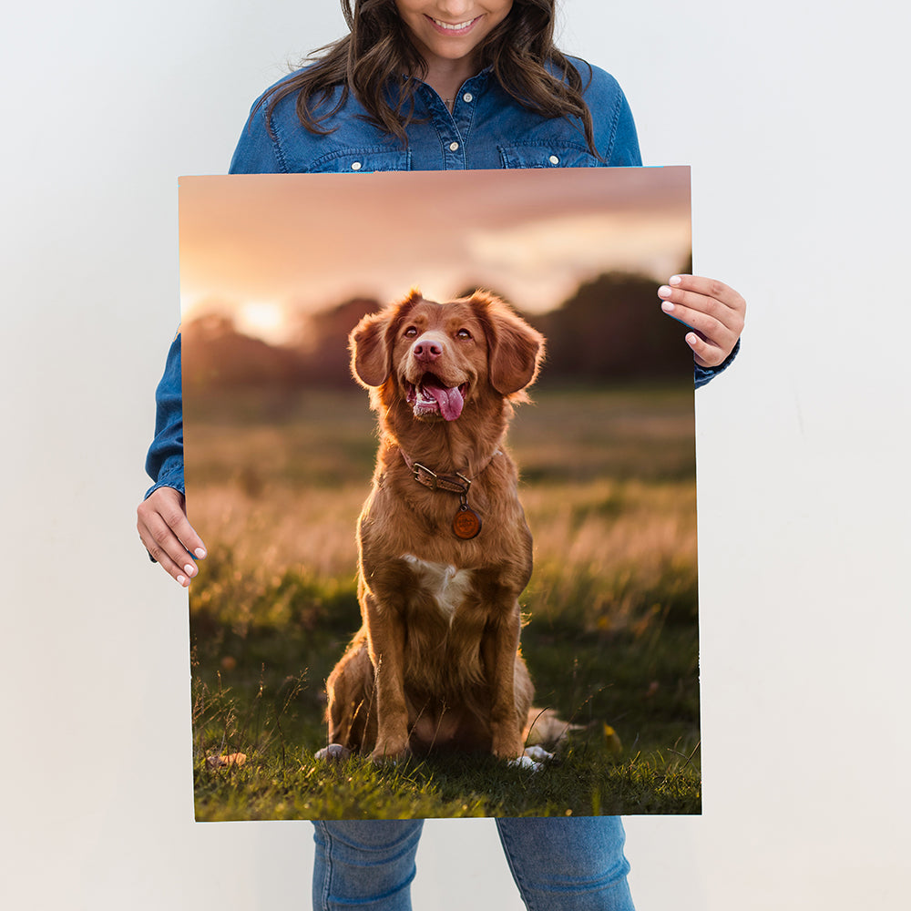 Poster Print