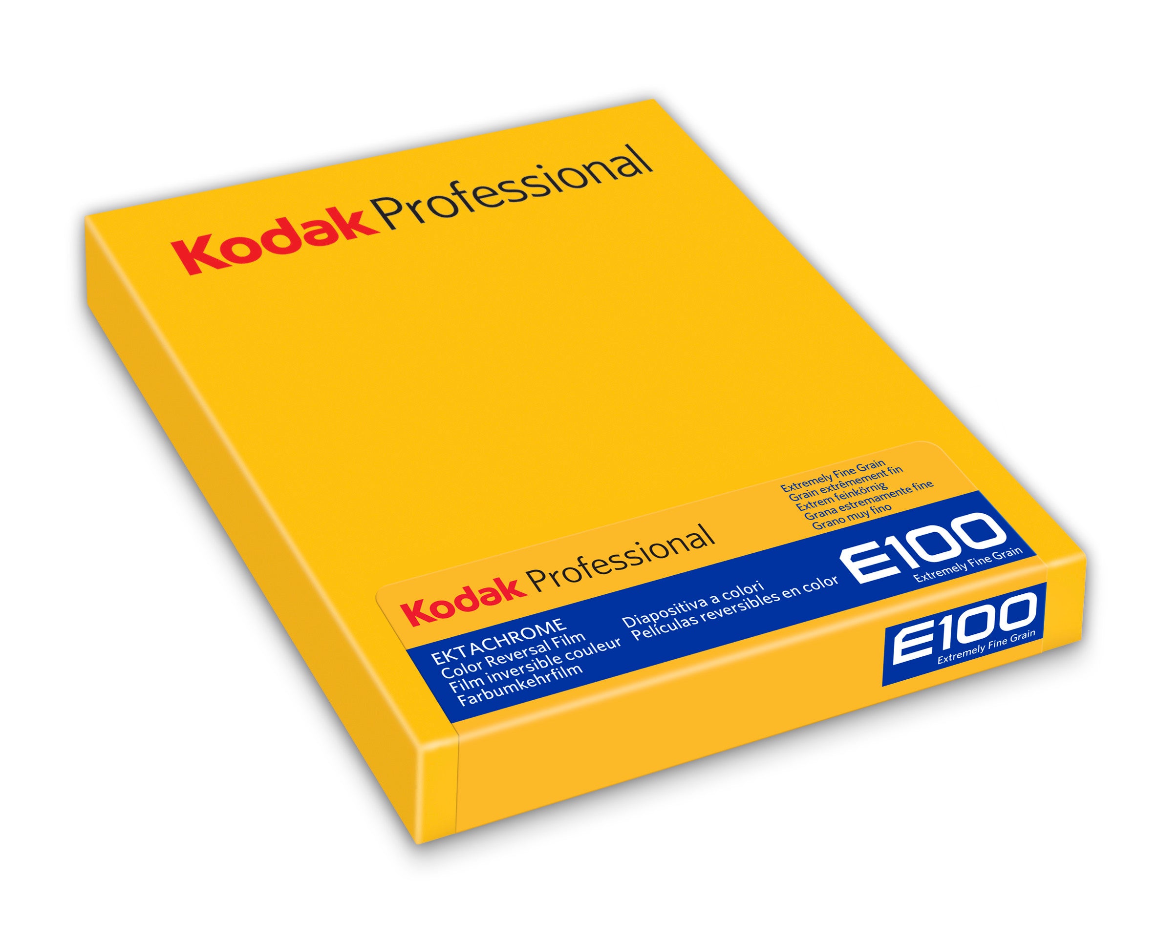 Kodak Ektachrome E100 Color Transparency Film (4 x 5", 10 Sheets)