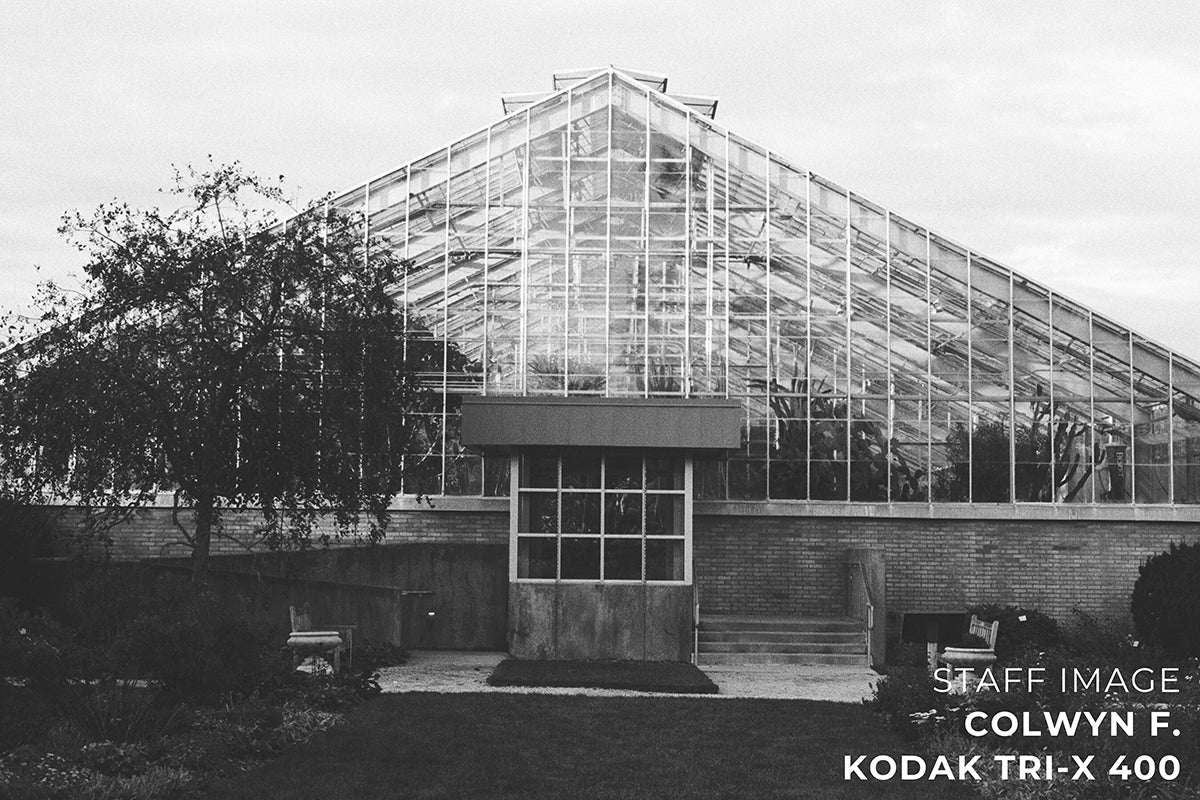 Kodak TRI-X 400 Black & White 35mm 36EXP - Single Roll