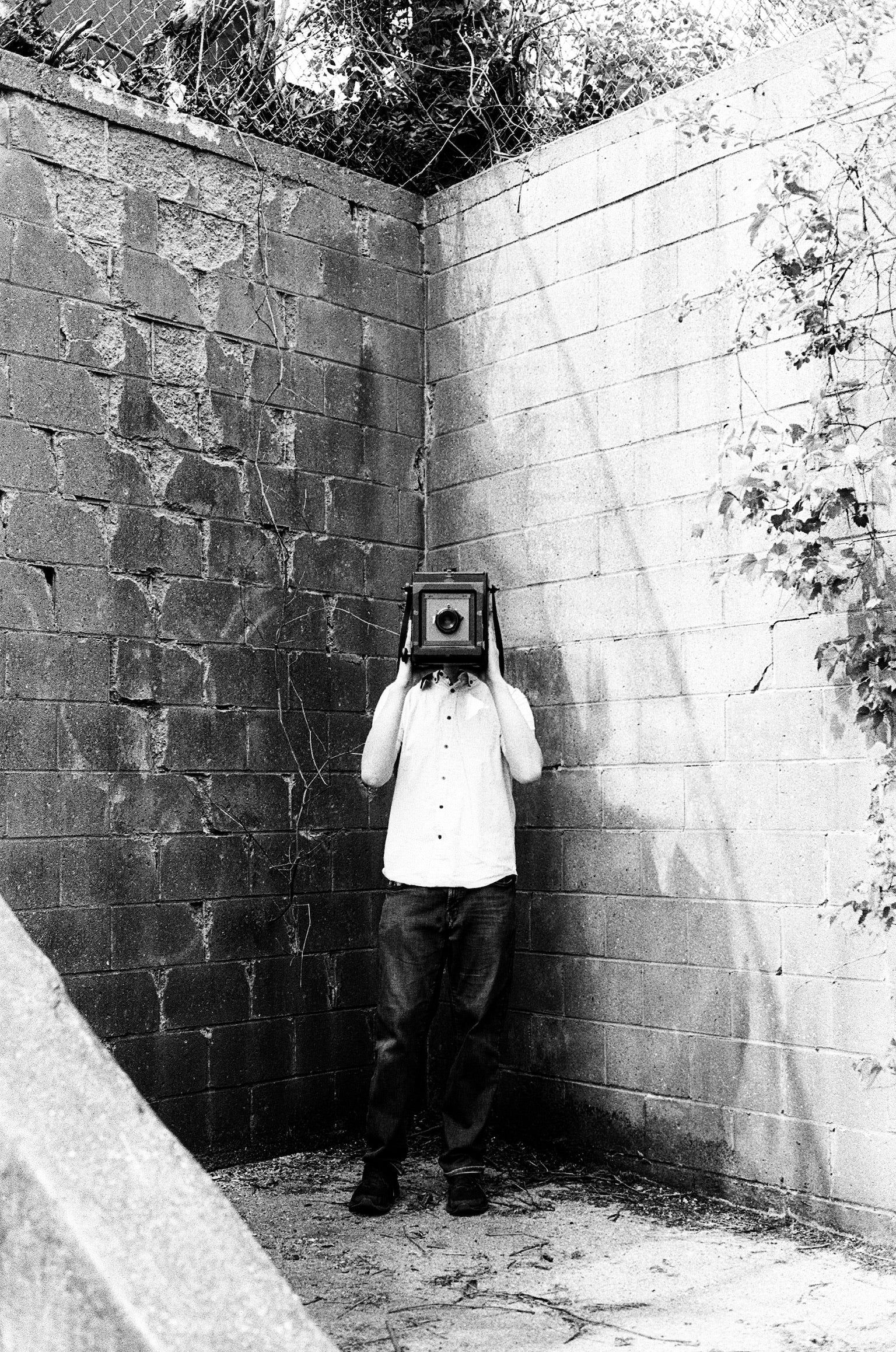 Ilford Ortho+ 80 B&W 120 Film