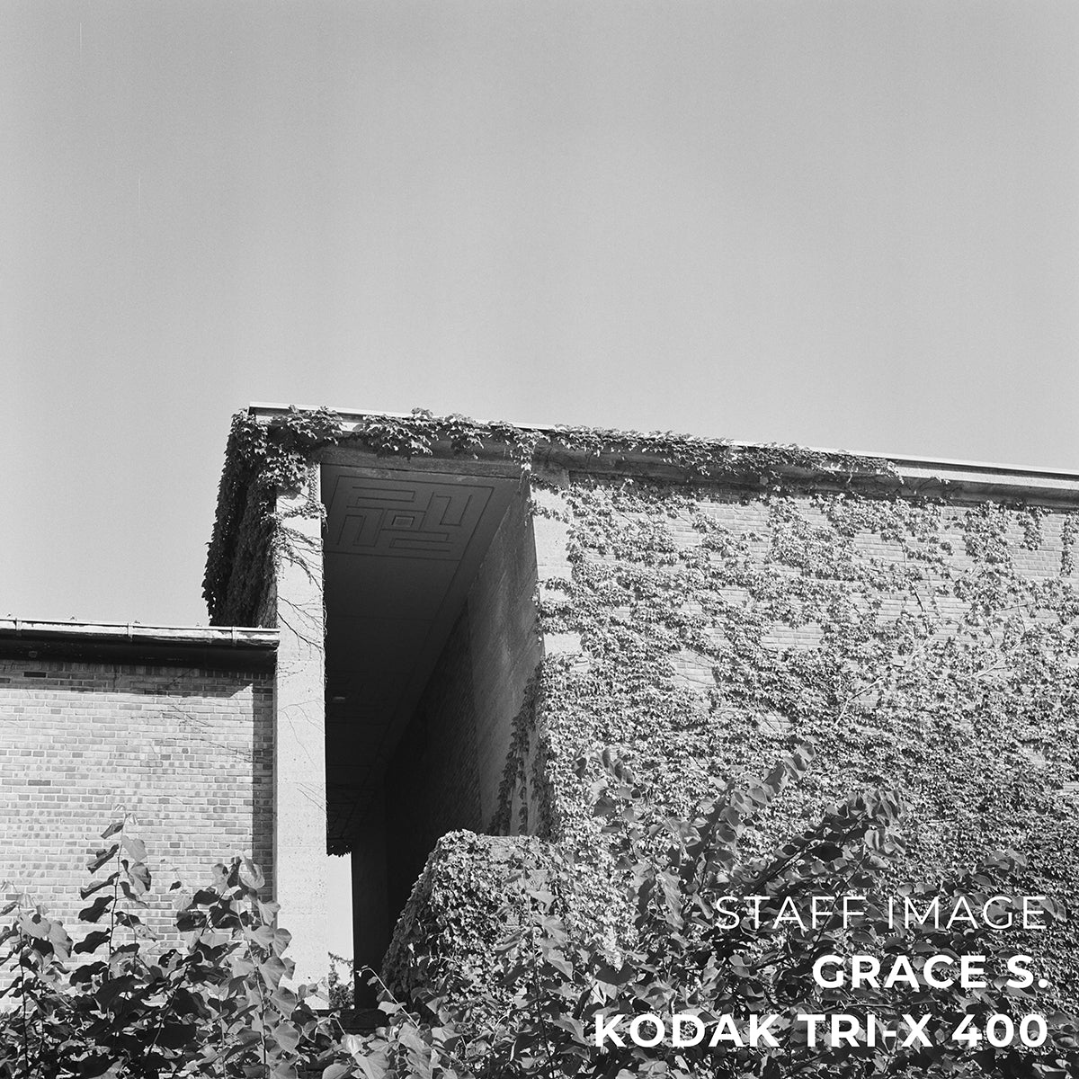 Kodak TRI-X 400 Black & White 35mm 36EXP - Single Roll