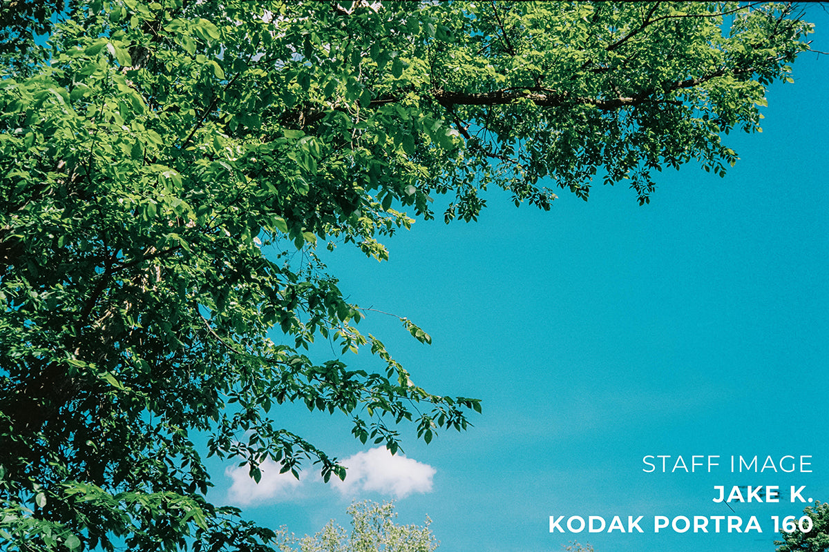 Kodak PORTRA 160 Color 35mm 36EXP - Single Roll