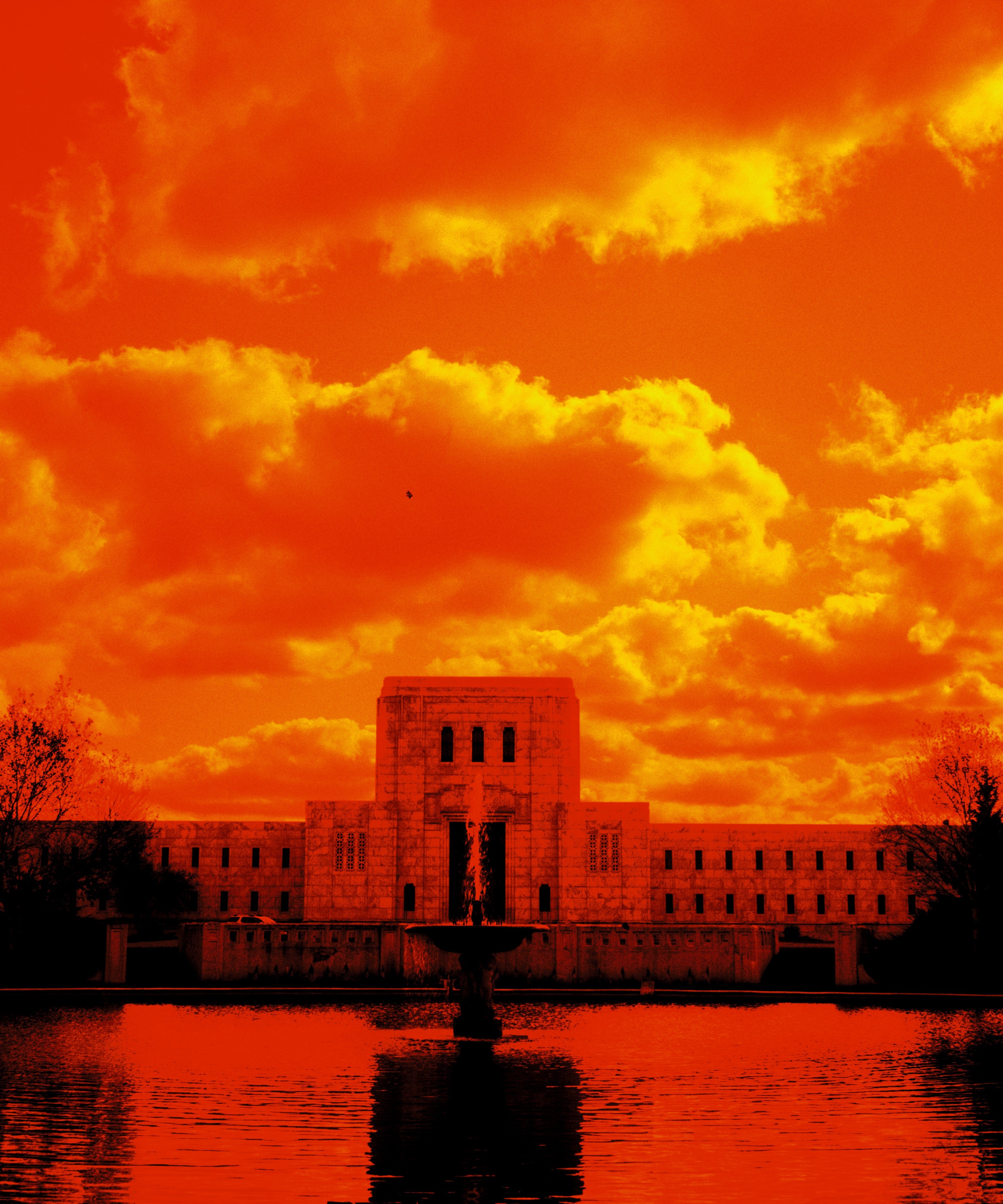 HARMAN technology Red 125 Redscale Color Negative Film (35mm Roll Film, 36 Exposures)