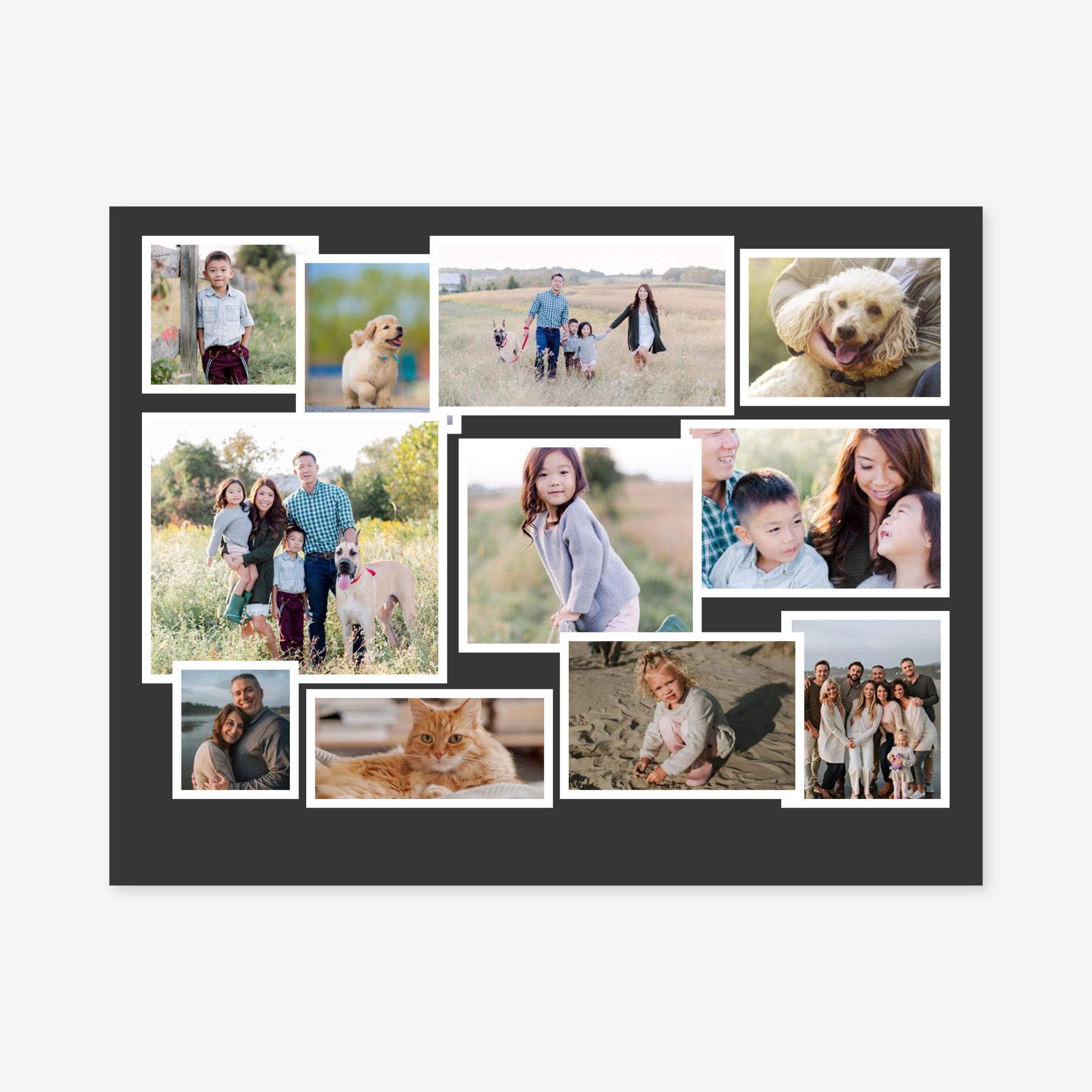 Puzzle 252 Piece - 10.5” x 13.5” Horizontal (Collage with Solid Background)