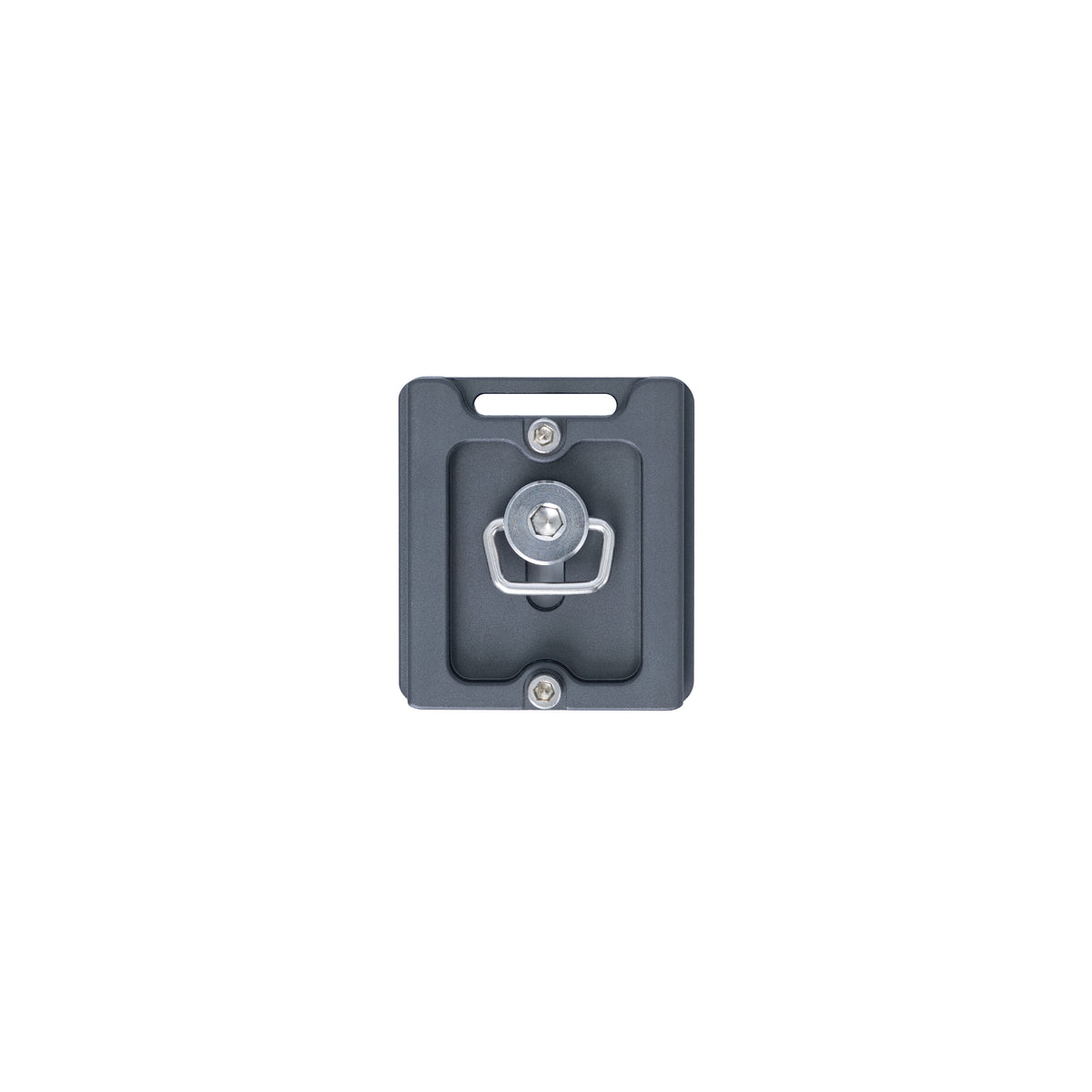 ProMaster Quick Release Plate for Iota, Chronicle, & XC-M Ball Heads