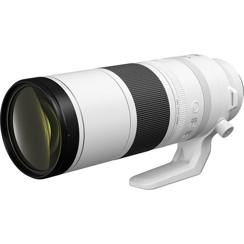 Canon RF 200-800mm f/6.3-9 IS USM Lens