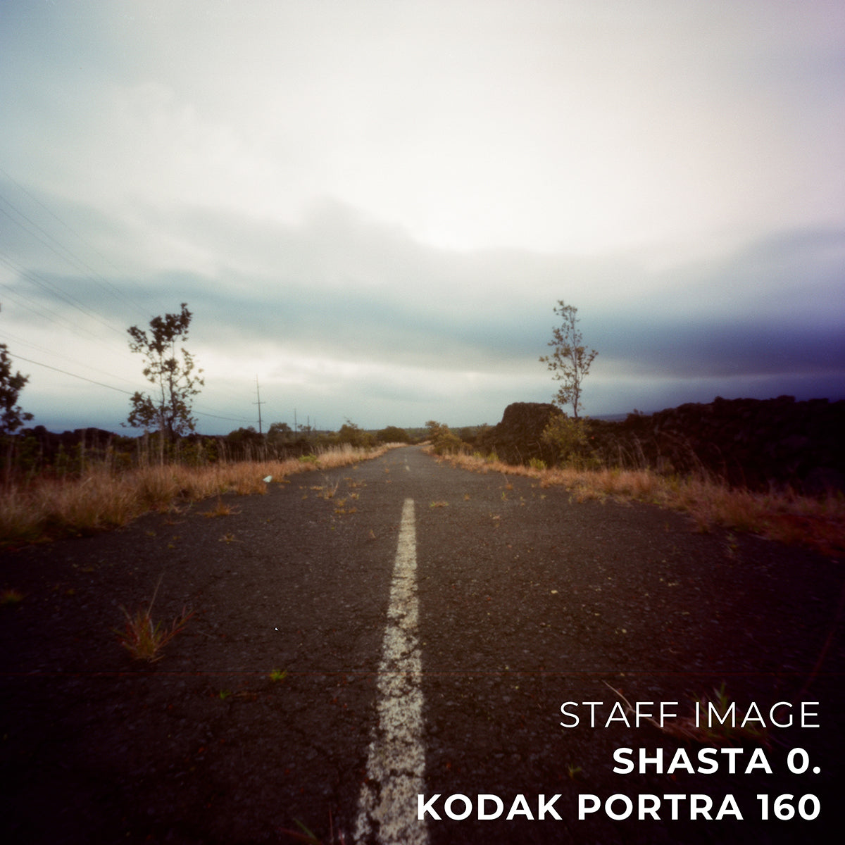 Kodak PORTRA 160 Color 35mm 36EXP - Box (5 Rolls)
