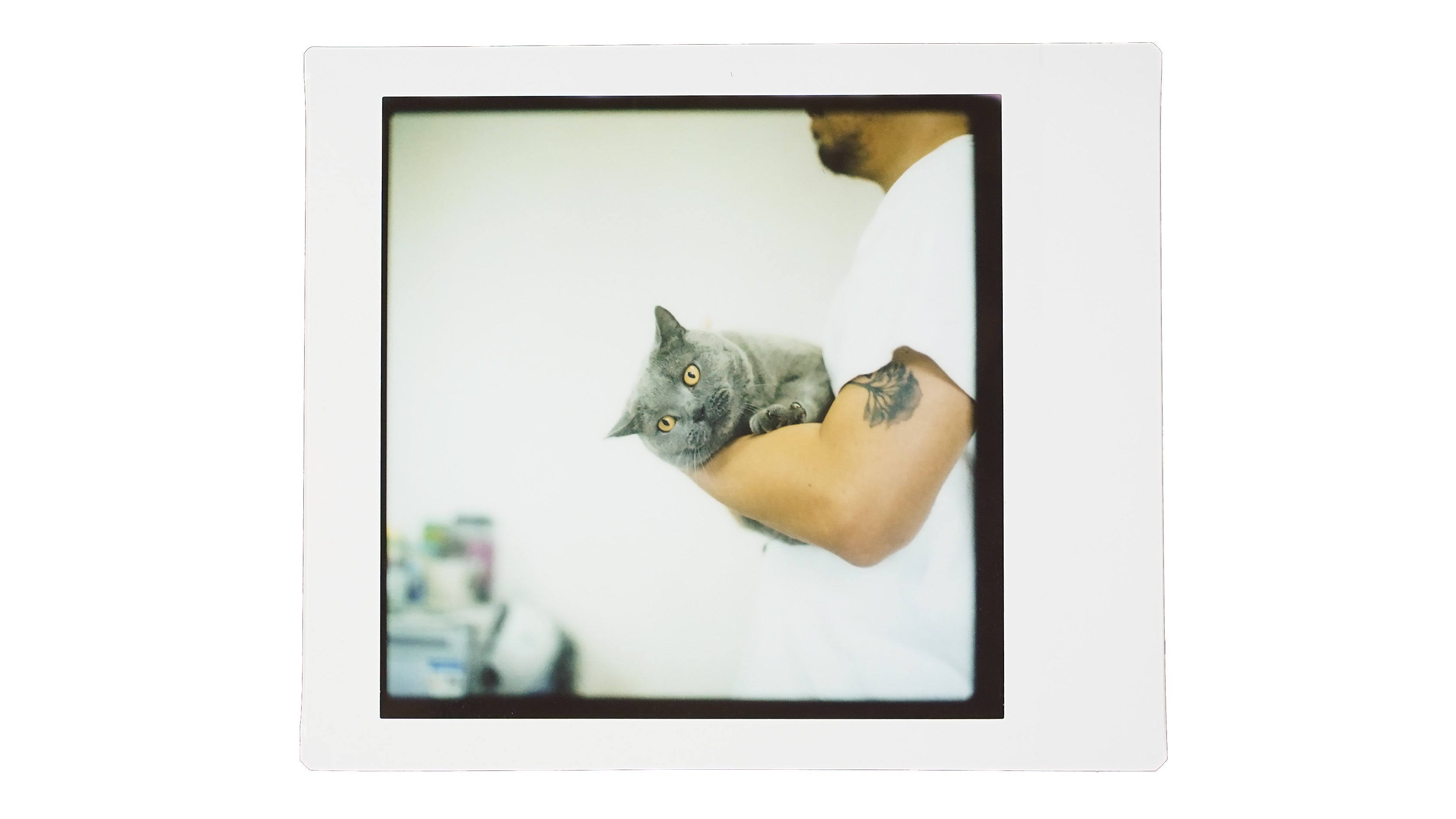 NONS Original Instax Back for Hasselblad Cameras