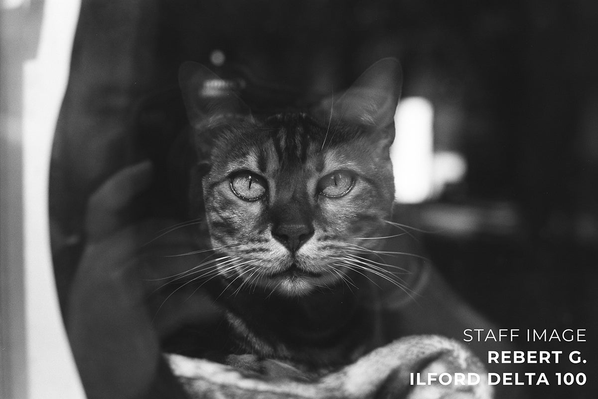 Ilford Delta 100 B&W 35mm 36EXP